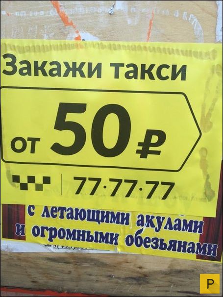 �������� ���������� � �������, ����� 12 (29 ����)