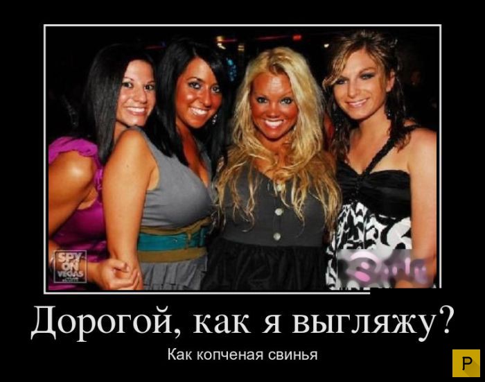 ������������ �� 20.04.2016 (43 ����)