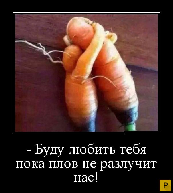 ������������ �� 20.04.2016 (43 ����)