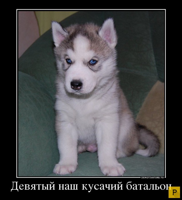 ������������ �� 20.04.2016 (43 ����)