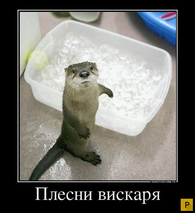 ������������ �� 20.04.2016 (43 ����)