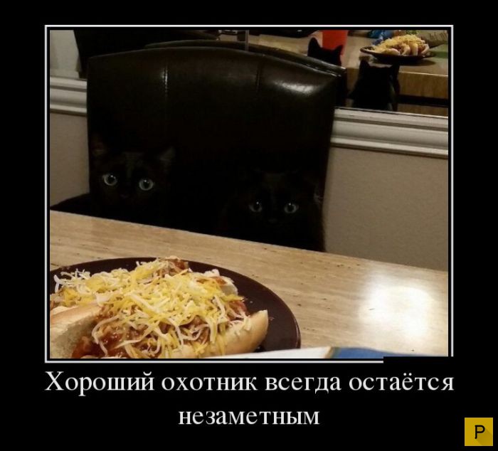 ������������ �� 20.04.2016 (43 ����)