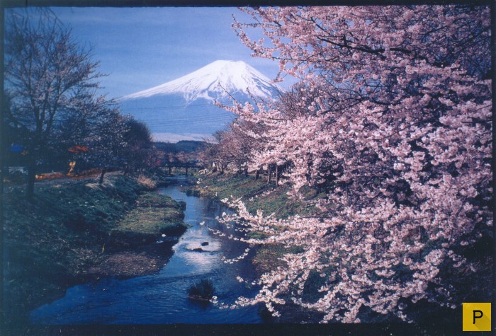 Священная гора японцев Фудзияма (15 фото)