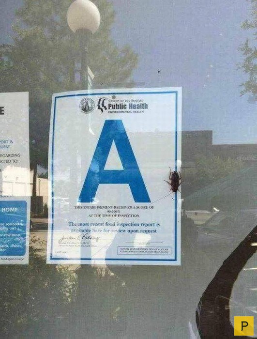 �������� ���������� ����������, ����� 115 (100 ����)