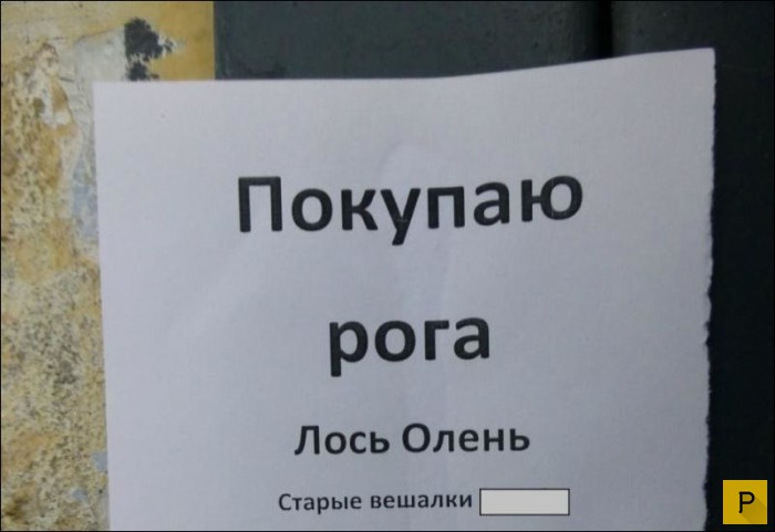 �������� ���������� � �������, ����� 12 (29 ����)