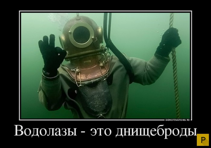 ������������ �� 20.04.2016 (43 ����)