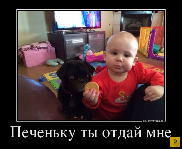 ������������ �� 20.04.2016 (43 ����)
