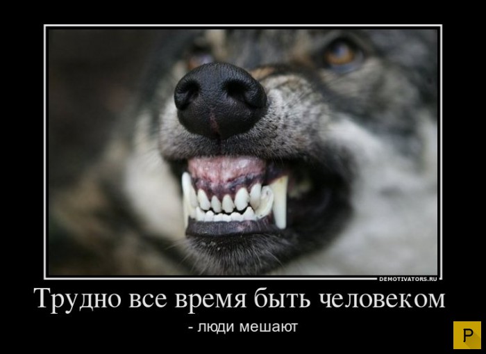 ������������ �� 20.04.2016 (43 ����)