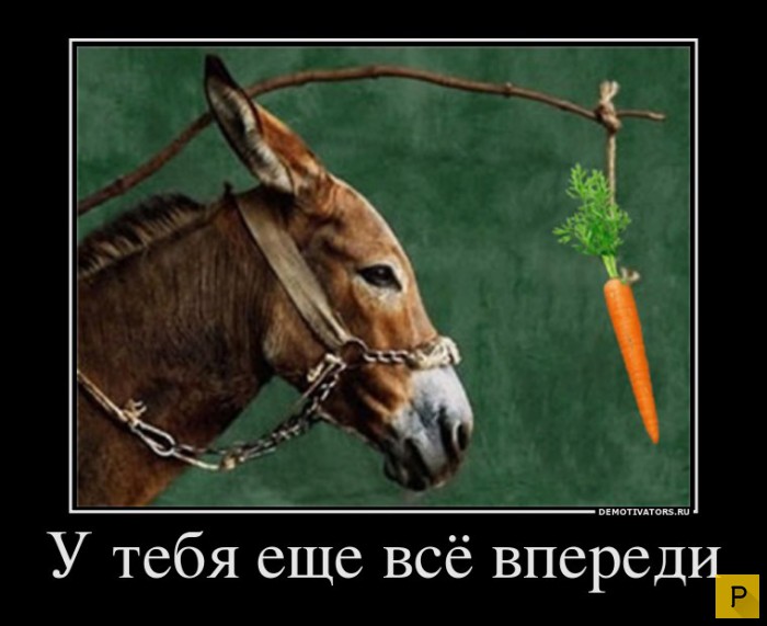 ������������ �� 20.04.2016 (43 ����)