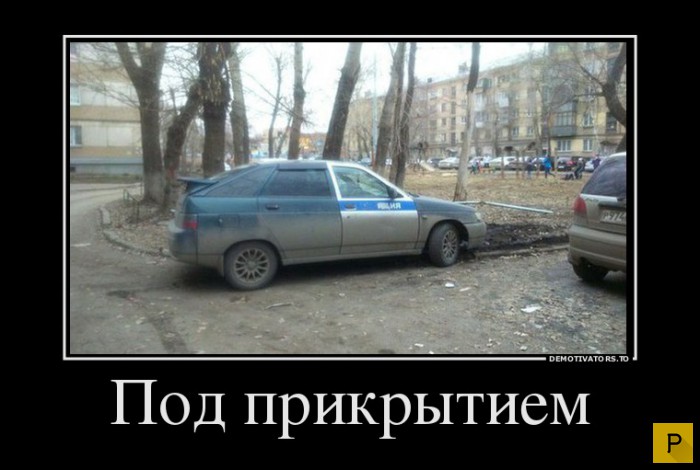 ������������ �� 20.04.2016 (43 ����)