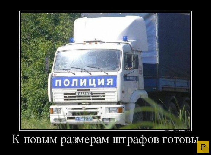 ������������ �� 20.04.2016 (43 ����)