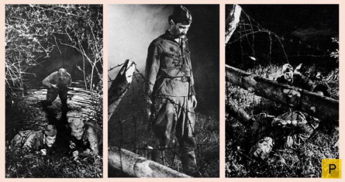 ���������� ����� � ���������� �� ������ "����� ������� �������� ������" (64 ����)