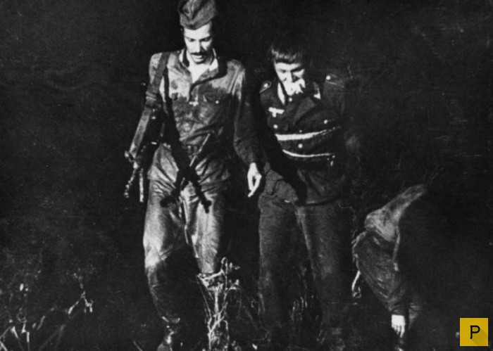 ���������� ����� � ���������� �� ������ "����� ������� �������� ������" (64 ����)