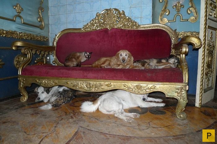 ��������� ��������� � �������� ����� ������ ����������� ������ (12 ����)