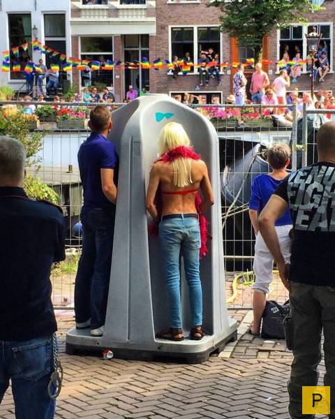 ���������� ���������� ��� �������� ����������, ����� 7 (109 ����)