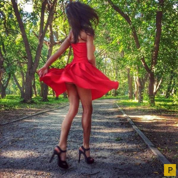 (18+) ������� �������� ��� ��������, ����� 12 (62 ����)