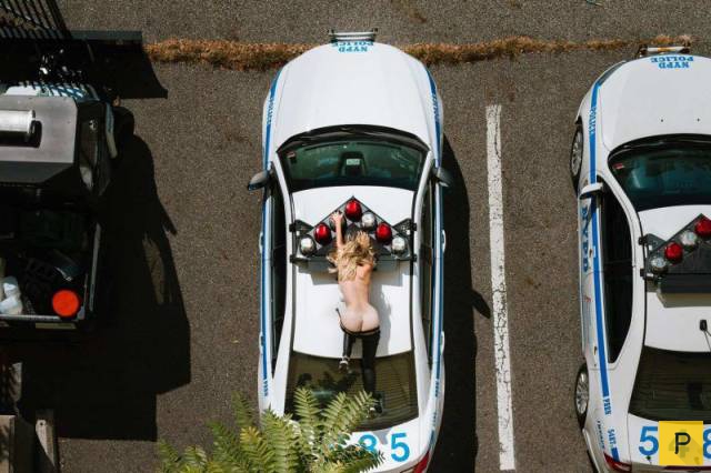 (18+) ������� �������� ��� ��������, ����� 12 (62 ����)