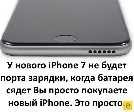   .     Apple (31 )
