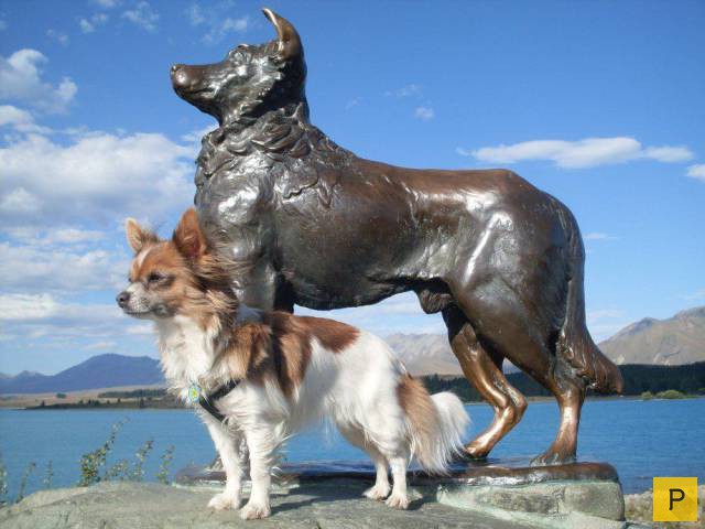 ���������� ���������� ��� �������� ����������, ����� 39 (100 ����)