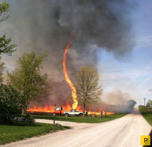 ���������� ���������� ��� �������� ����������, ����� 39 (100 ����)