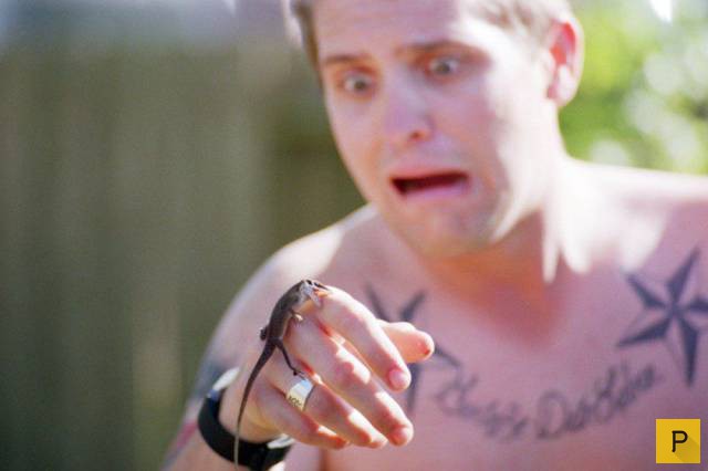 ���������� ���������� ��� �������� ����������, ����� 39 (100 ����)