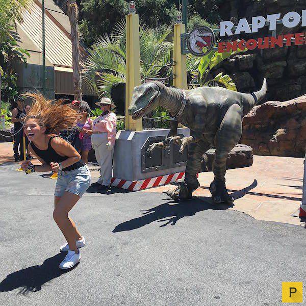 ���������� ���������� ��� �������� ����������, ����� 39 (100 ����)