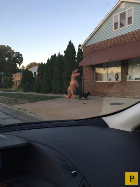 ���������� ���������� ��� �������� ����������, ����� 39 (100 ����)