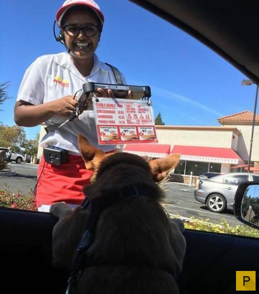 ���������� ���������� ��� �������� ����������, ����� 39 (100 ����)