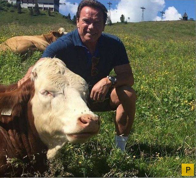 ���������� ���������� ��� �������� ����������, ����� 39 (100 ����)