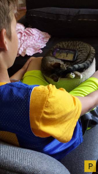 ���������� ���������� ��� �������� ����������, ����� 39 (100 ����)