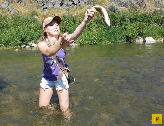 ���������� ���������� ��� �������� ����������, ����� 39 (100 ����)