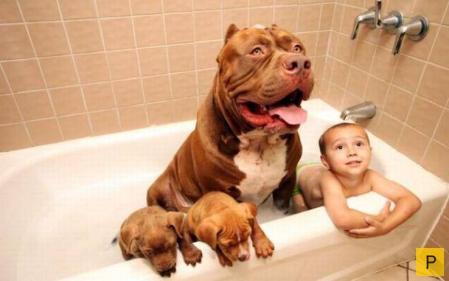 ���������� ���������� ��� �������� ����������, ����� 39 (100 ����)