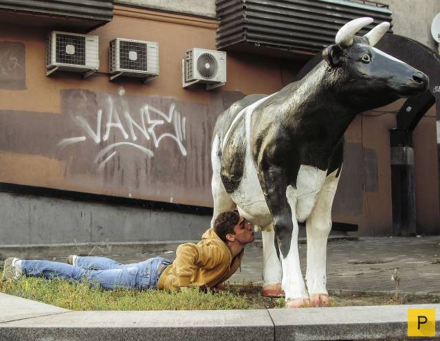 ���������� ���������� ��� �������� ����������, ����� 39 (100 ����)