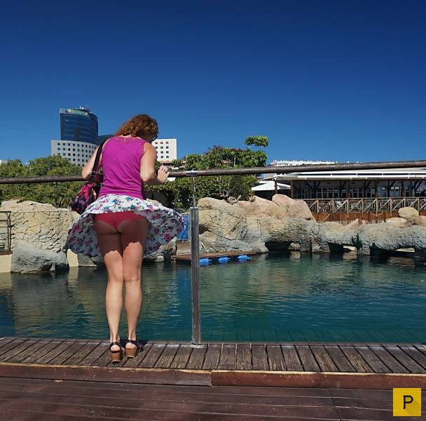 ���������� ���������� ��� �������� ����������, ����� 39 (100 ����)