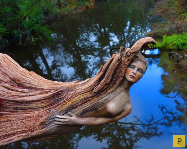 ���������� ���������� ��� �������� ����������, ����� 39 (100 ����)