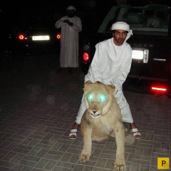 ���������� ���������� ��� �������� ����������, ����� 39 (100 ����)