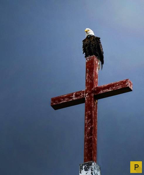 ���������� ���������� ��� �������� ����������, ����� 39 (100 ����)