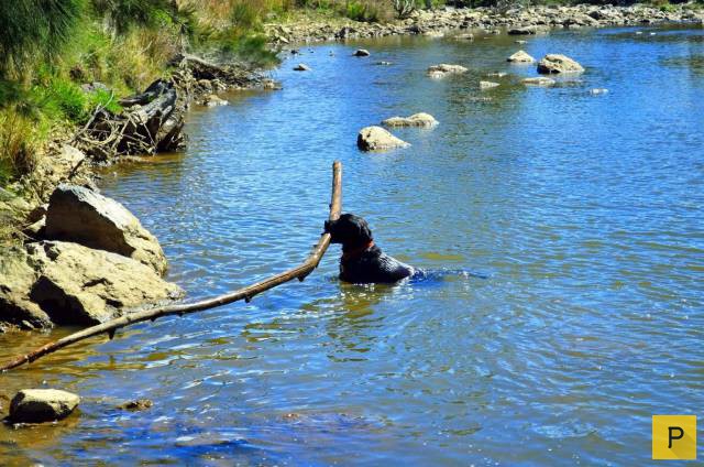 ���������� ���������� ��� �������� ����������, ����� 39 (100 ����)