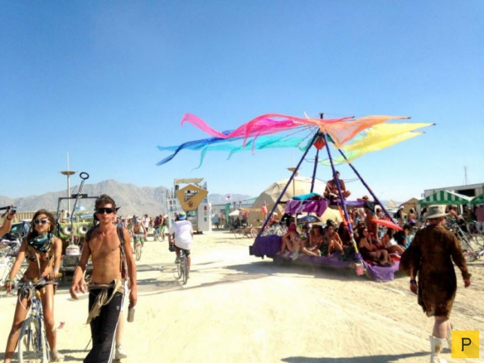   Burning Man     (38 )