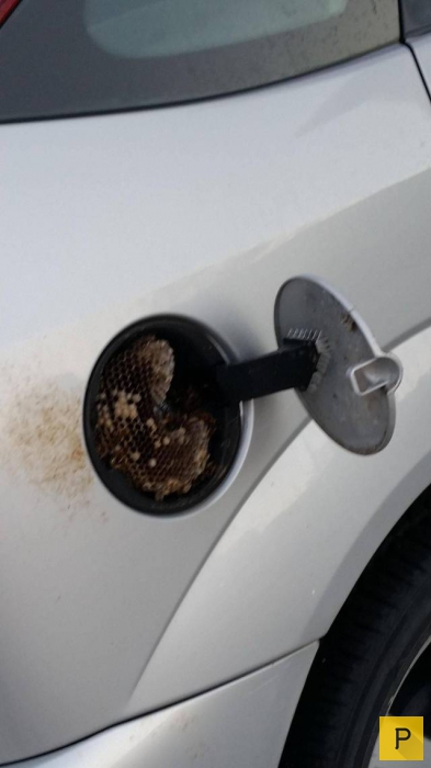 ���������� ���������� ��� �������� ����������, ����� 32 (101 ����)