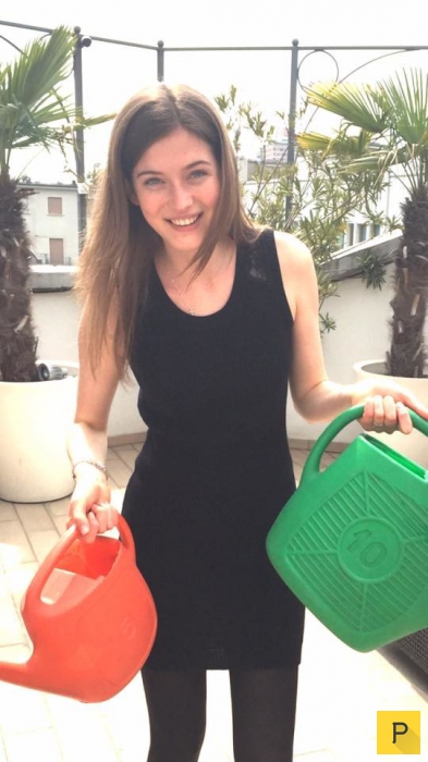 "���� �������" ���� ����������� ������� �� ���� - ������������ ����������� (11 ����)