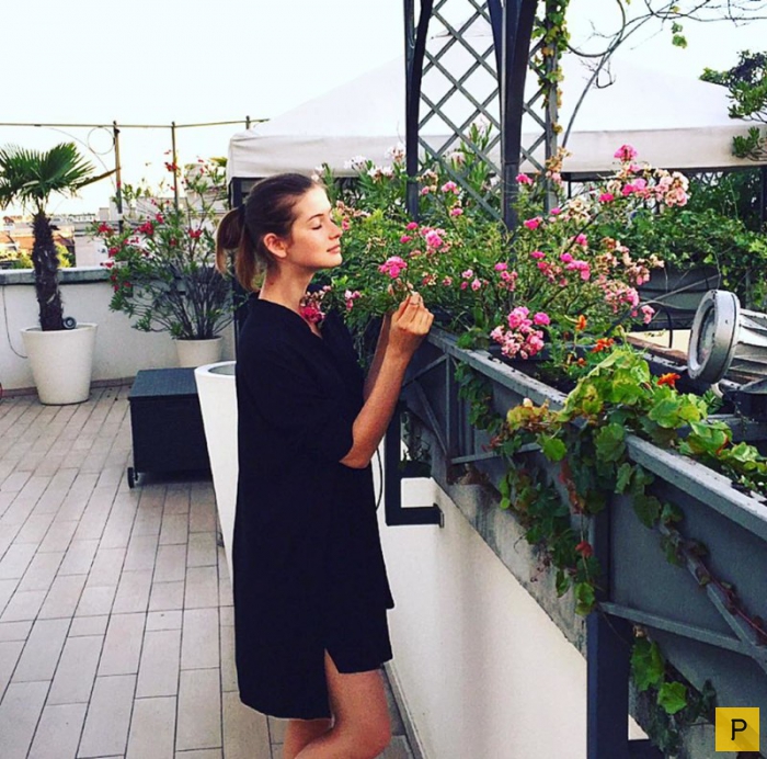 "���� �������" ���� ����������� ������� �� ���� - ������������ ����������� (11 ����)