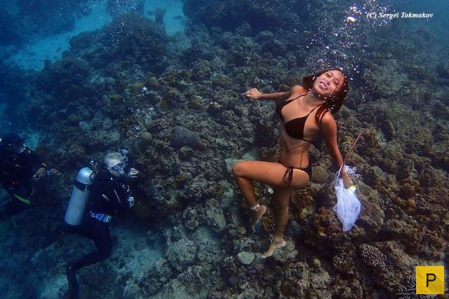 ���������� ���������� ��� �������� ����������, ����� 49 (110 ����)