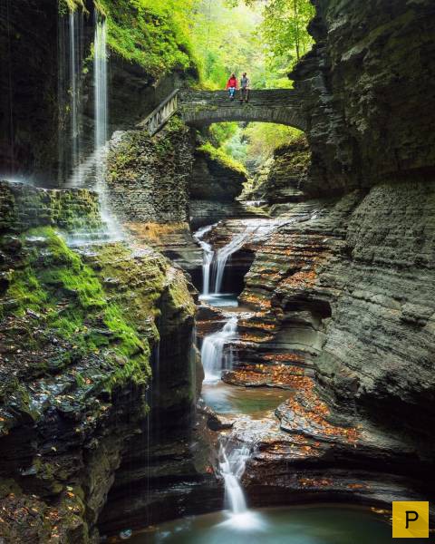 ���������� ���������� ��� �������� ����������, ����� 49 (110 ����)