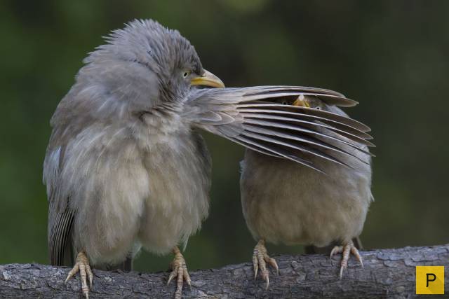 ���������� ���������� ��� �������� ����������, ����� 49 (110 ����)