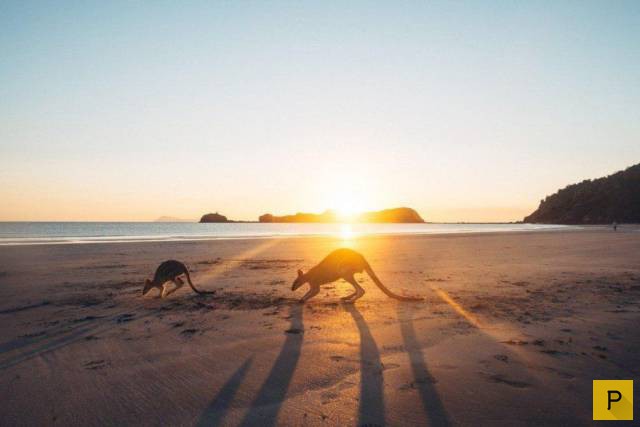 ���������� ���������� ��� �������� ����������, ����� 49 (110 ����)