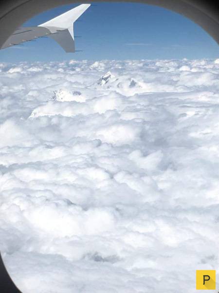 ���������� ���������� ��� �������� ����������, ����� 49 (110 ����)