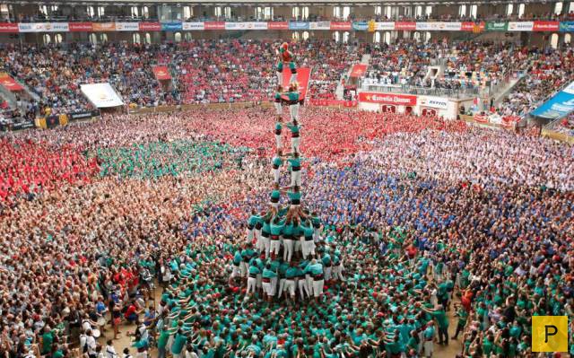 ���������� ���������� ��� �������� ����������, ����� 49 (110 ����)