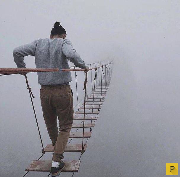 ���������� ���������� ��� �������� ����������, ����� 49 (110 ����)