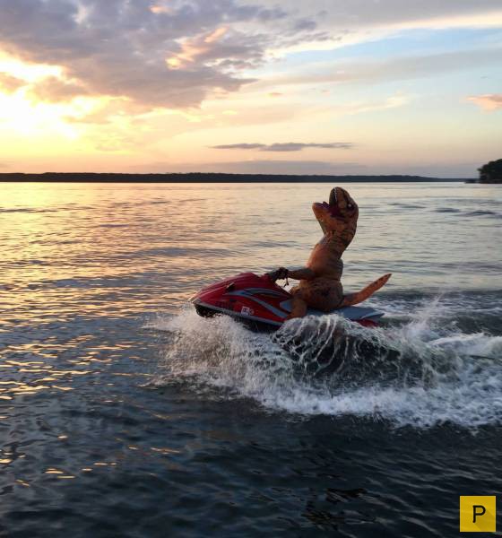 ���������� ���������� ��� �������� ����������, ����� 49 (110 ����)